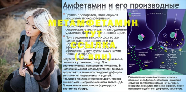 ПСИЛОЦИБИНОВЫЕ ГРИБЫ Медвежьегорск