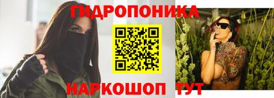 скорость Берёзовский