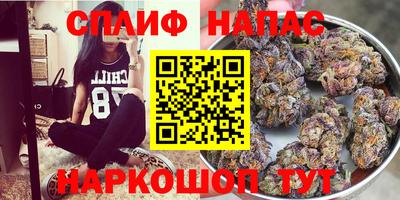 стафф Балашиха