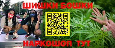 индика Балаково