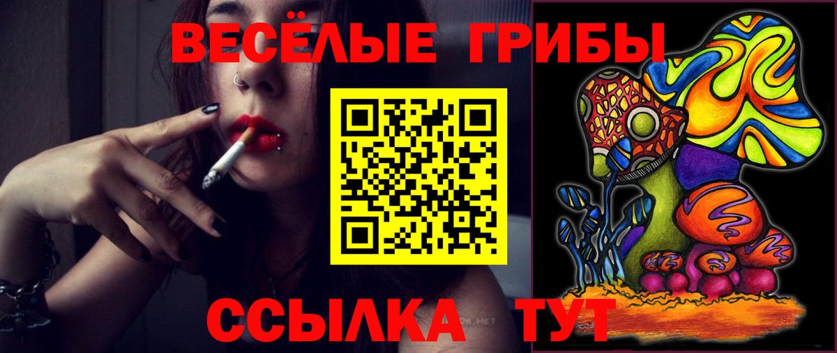 Галлюциногенные грибы мицелий  Вход с VPN  Выборг  Псилоцибиновые грибы прущие грибы 